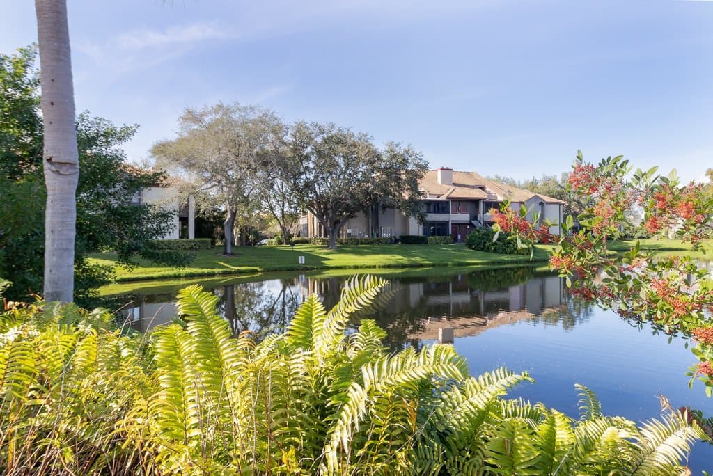 10265 Gandy Blvd N Apt 1613