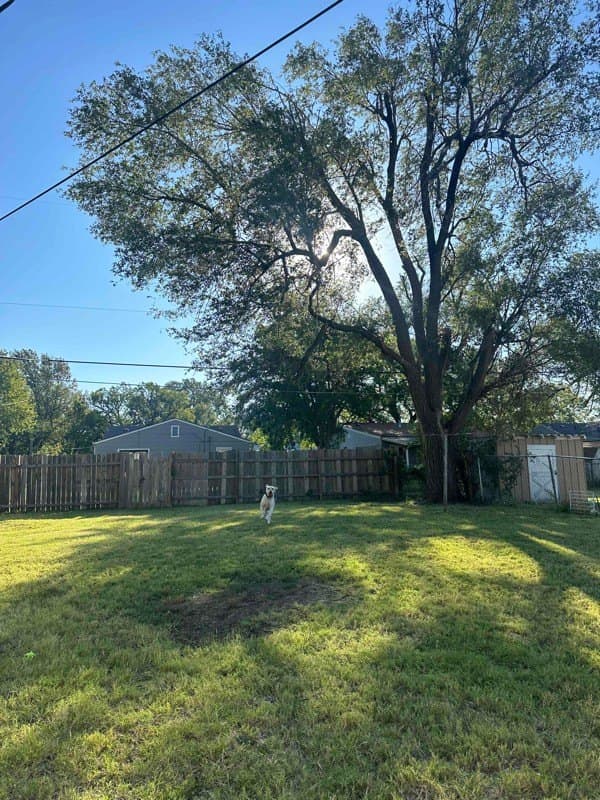 877 Pontiac Ave