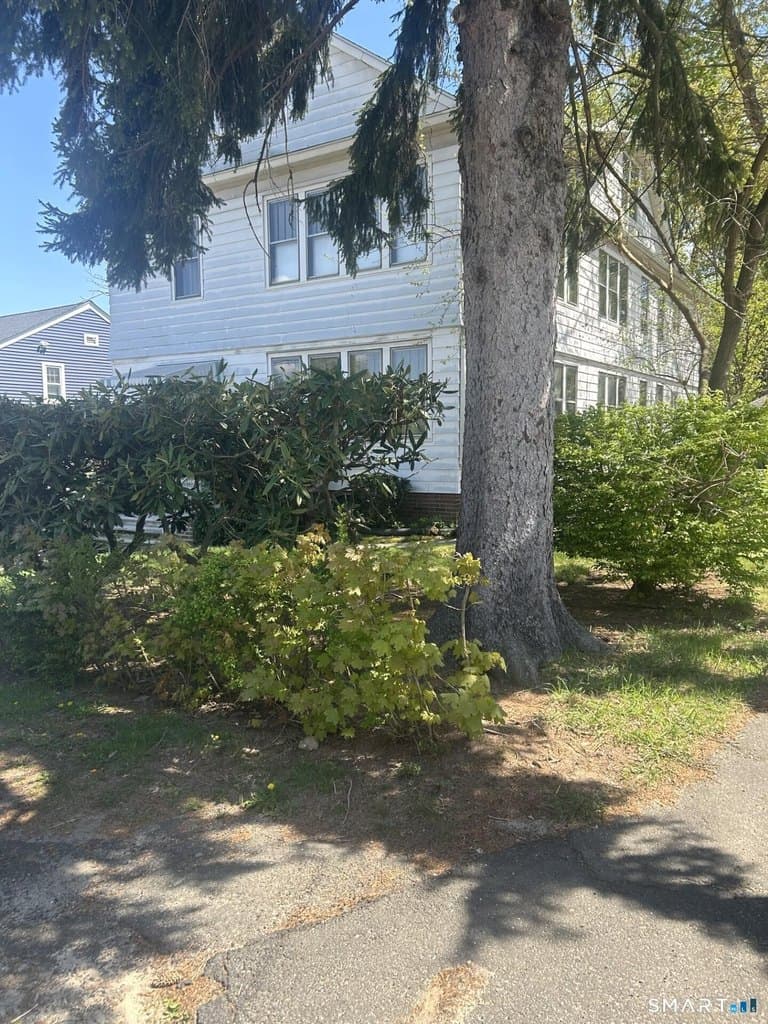 41 Lawlor St