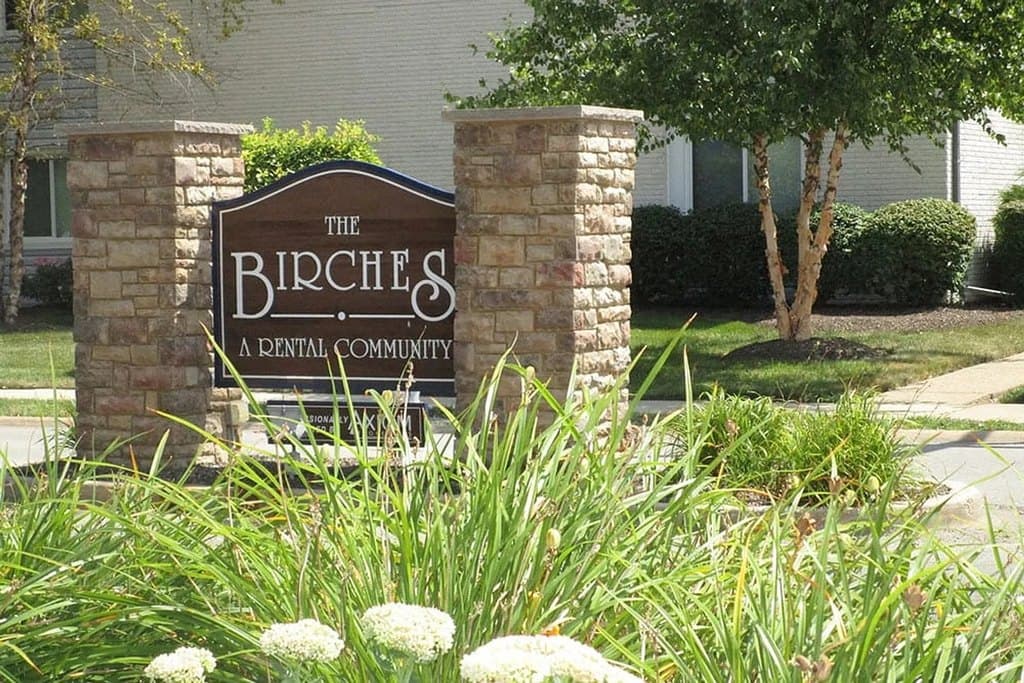 The Birches